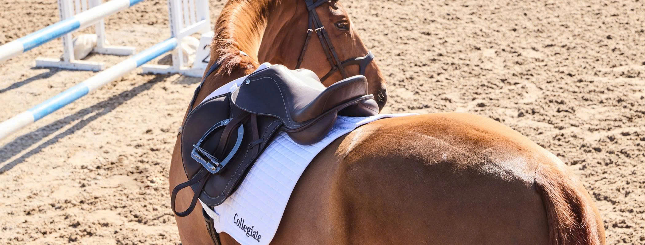 For the Horse Store -For the Horse Store z6814371177503 461523338cce2ec181b3bb629dbbc9fe